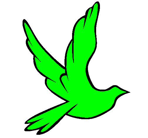Desenho Pomba da paz a voar pintado por CADU