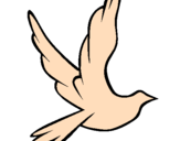 Desenho Pomba da paz a voar pintado por ana luiza rodrigues