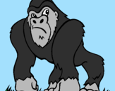 Desenho Gorila pintado por Macaca