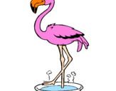Desenho Flamingo com os pés de molho pintado por pássaro 03