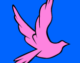 Desenho Pomba da paz a voar pintado por AGEU