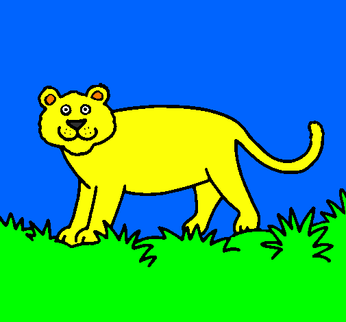 Desenho Panthera  pintado por onça
