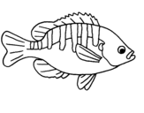 Desenho Peixe pintado por tanise