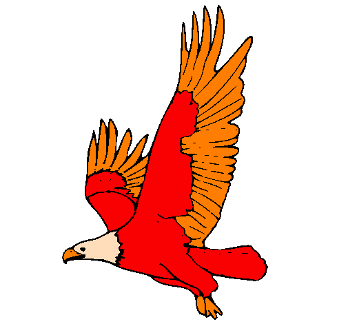 Desenho Águia a voar pintado por aguia vermelha
