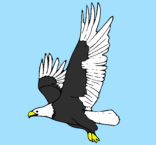 Desenho Águia a voar pintado por diego