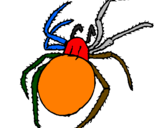 Desenho Aranha venenosa pintado por  salah din masarani