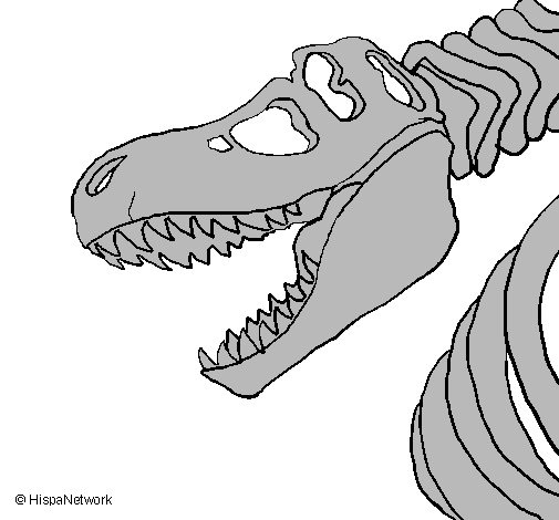 Desenho de Esqueleto de t-rex pintado e colorido por Kingjd o dia 18 de  Dezembro do 2013