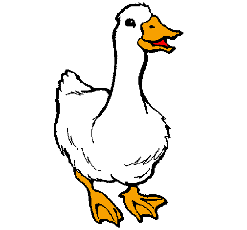 Desenho de Pato pintado e colorido por Usuário não registrado o dia 15 de  Agosto do 2011