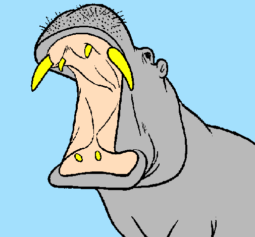 Desenho Hipopótamo com a boca aberta pintado por hipopótamo de boca aberta
