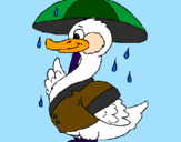 Desenho Pato sob a chuva pintado por Isa