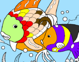 Desenho Peixes pintado por Peixes coloridos