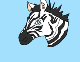 Desenho Zebra II pintado por carolml