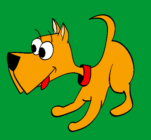 Cachorro III