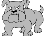 Desenho Cão Bulldog pintado por Eveliny