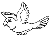 Desenho Periquito pintado por passarinho