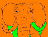 Desenho Elefante africano pintado por ronaldo
