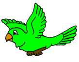 Desenho Periquito pintado por ave para sof