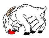 Desenho Cabra aborrecida pintado por josuejo