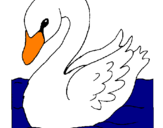 Desenho Cisne pintado por 1