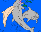 Desenho Golfinhos a brincar pintado por josé victor