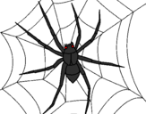 Desenho Aranha pintado por aranha