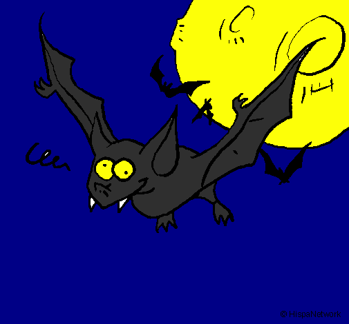 Morcego louco