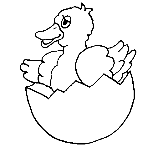 Desenho Patito na casca de ovo pintado por oi