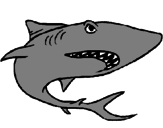 Desenho Tubarão pintado por tubarão branco