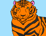 Desenho Tigre pintado por rafaela