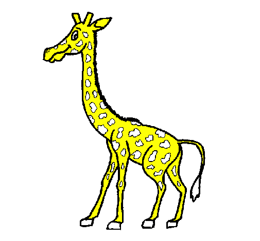Desenho Girafa pintado por guilherme pretel