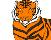 Desenho Tigre pintado por beatriz