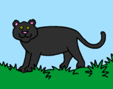 Desenho Panthera  pintado por josé victor