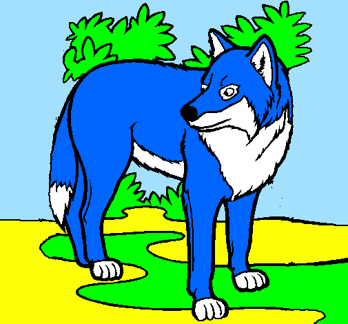 Desenho Lobo pintado por hinata