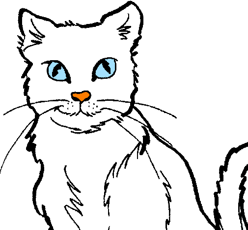 Desenho de Gato pintado e colorido por Usuário não registrado o dia 01 de  Outobro do 2011
