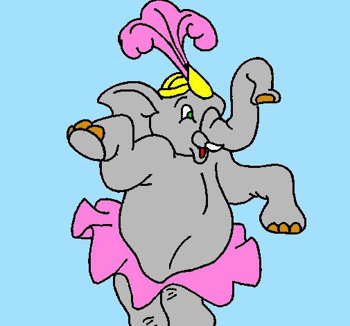 Elefante a dançar