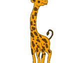Desenho Girafa pintado por pedro