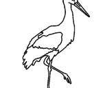 Desenho Cegonha  pintado por ganso