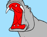 Desenho Hipopótamo com a boca aberta pintado por joão manoel
