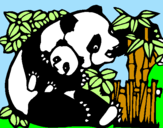 Desenho Mamã panda pintado por espinorex