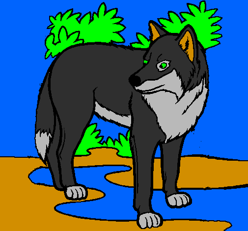 Desenho Lobo pintado por ANGIE 