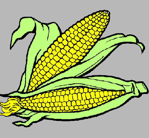 Desenho Espiga de milho  pintado por Glaucia*