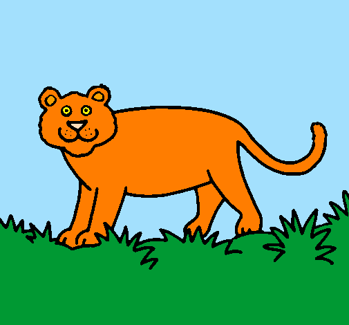 Desenho Panthera  pintado por onça