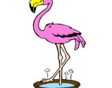 Desenho Flamingo com os pés de molho pintado por lucas P.