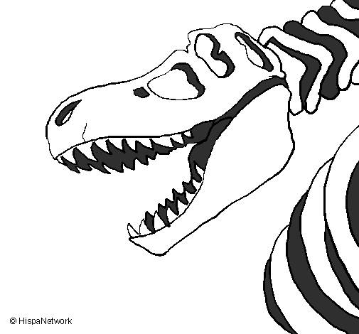 Desenho de Esqueleto tiranossauro rex pintado e colorido por Usuário não  registrado o dia 16 de Outobro do 2011