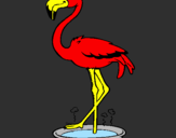 Desenho Flamingo com os pés de molho pintado por icaro