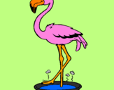 Desenho Flamingo com os pés de molho pintado por victor