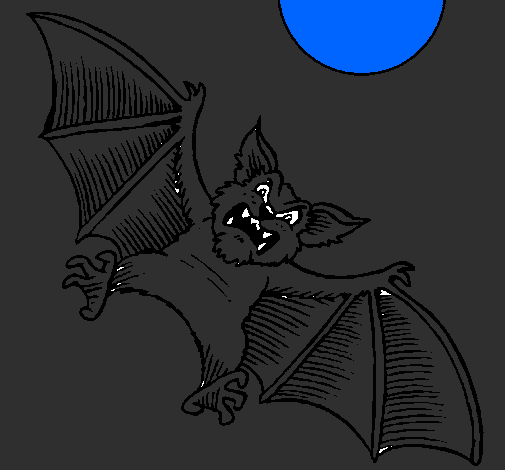 Desenho Morcego cão pintado por carlos