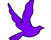 Desenho Pomba da paz a voar pintado por POMBINHA