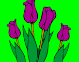 Desenho Tulipa pintado por cinderela