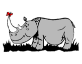 Desenho Rinoceronte e borboleta pintado por Lívia